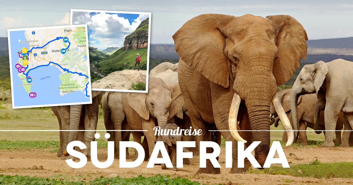  Südafrika Rundreise Tipps: Von Johannesburg nach Kapstadt in 3 Wochen Illustration 